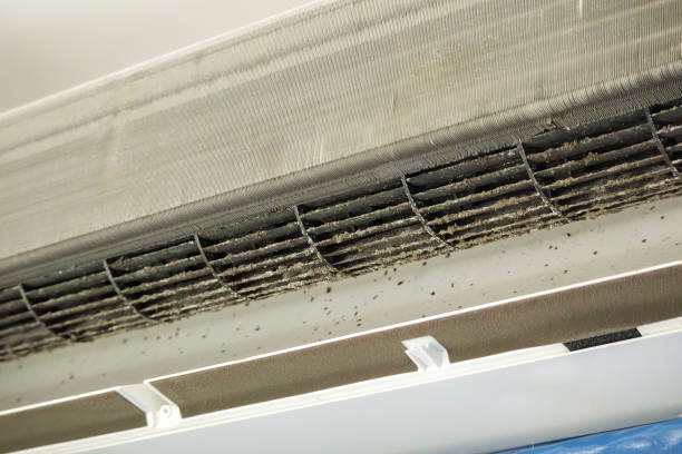 Best Home Air Vent Cleaning  in Clearlake Oaks, CA